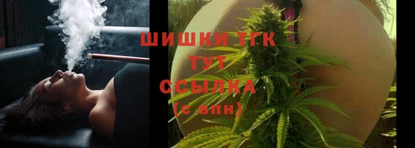 гидра Краснослободск