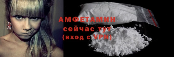 гидра Краснослободск