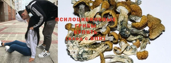 гидра Краснослободск