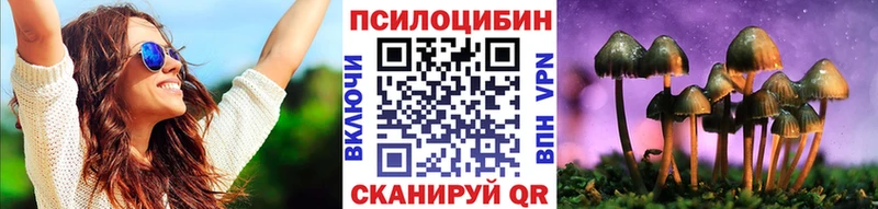 Псилоцибиновые грибы Psilocybe Лодейное Поле