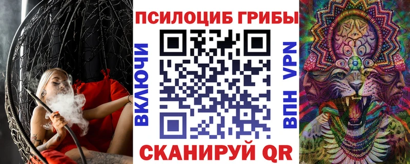 Купить  Лодейное Поле  Галлюциногенные грибы GOLDEN TEACHER 